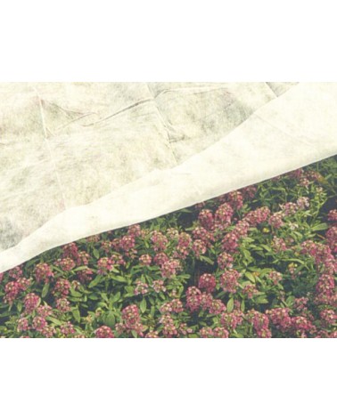 VELO TNT MT 1.6x5 17GR/MTQ