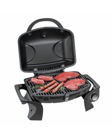 BARBECUE GAS PORT A CARTUC