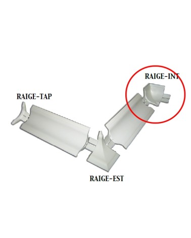 RACC INTERN PROF IGEN MORB