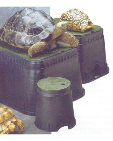 ELETTROV. 9V BIST FF 1"   