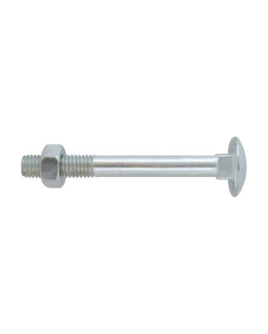 CAVICCHIE ZINC M8X30  200P