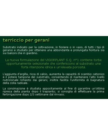 TERRICCIO GERANI      LT20