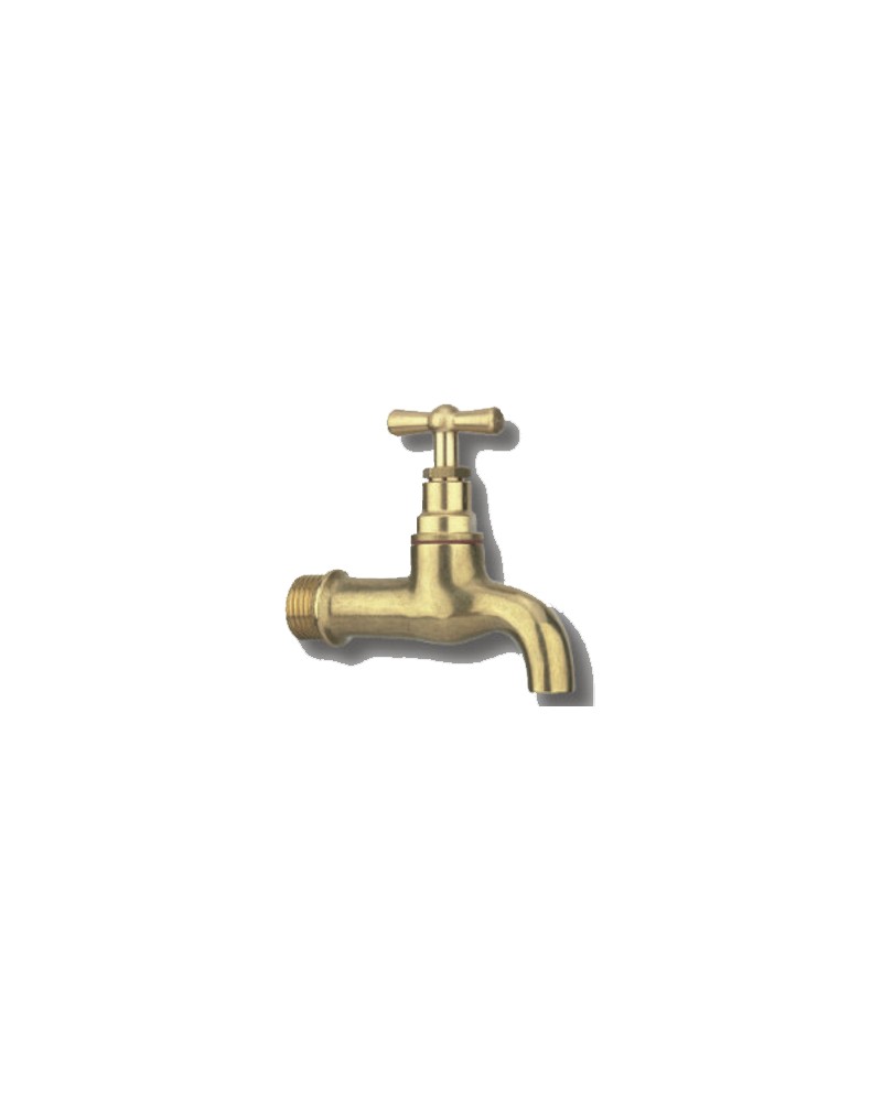 RUBIN GIAL LUCIDO SEMPL1/2