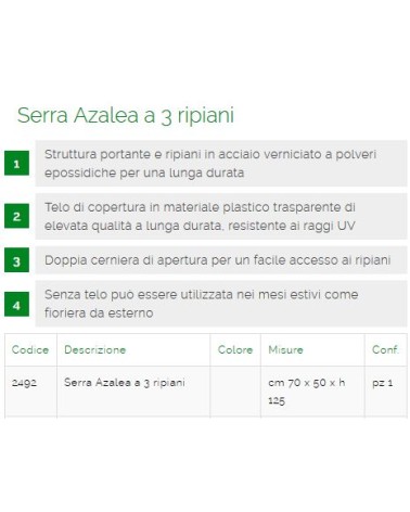 SERRA AZALEA 3 RIPIANI    