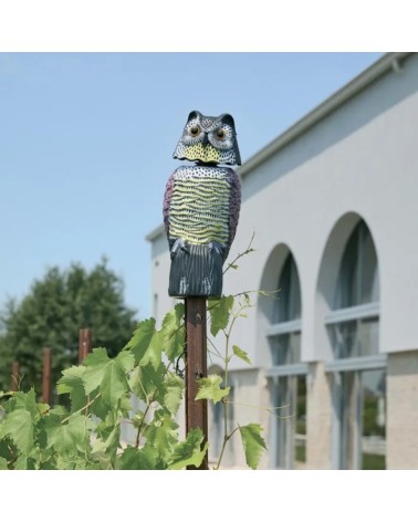 GUFO ANTIVOLAT C/TESTA GIR