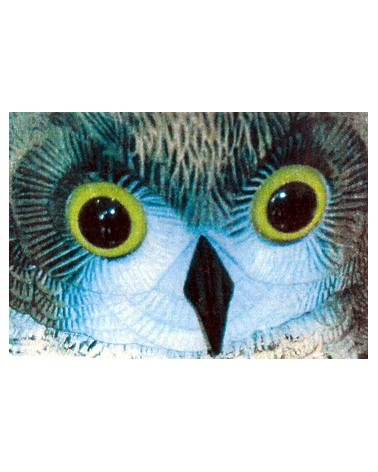 GUFO ANTIVOLAT C/TESTA GIR