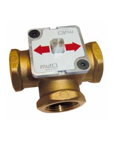 VALV. DEV. ANTICOND 1" 55?