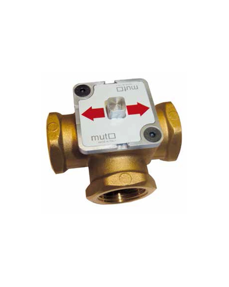 VALV. DEV. ANTICOND 1" 55?