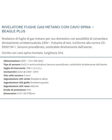 RILEV.FUGHE GAS MET C/SPIN