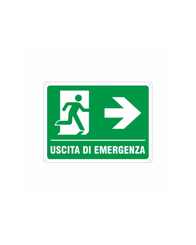 CART USCITA EMERG DX 40X30