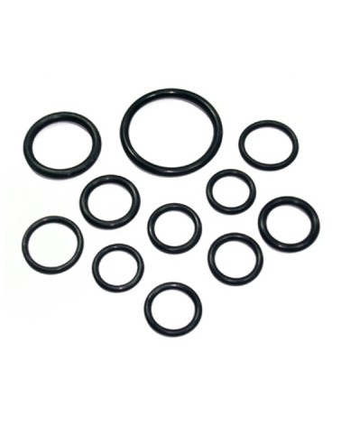 ANELLO OR 16,9x2,7 R13 20P