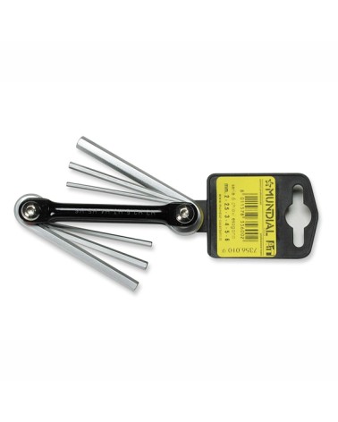 SERIE 6 CHIAVI MASCHIO ESA