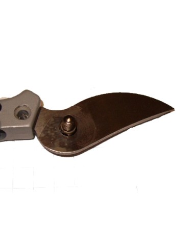 LAMA RIC PER 85076  GP1408