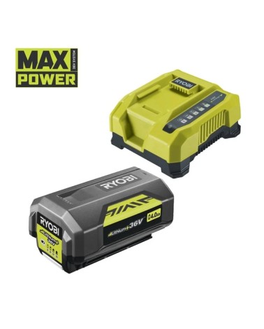 CARICAB RAP 36V+1 BAT 4 AH