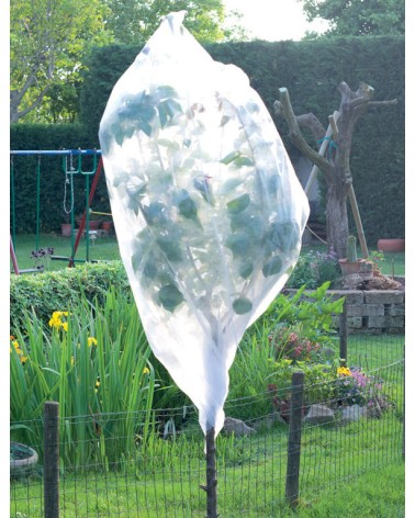 CAPPUCCI TNT PER GELO PIANTE  17GR/MQ. MT.1,6X2 PAPILLON CONFEZIONE 1 PEZZO