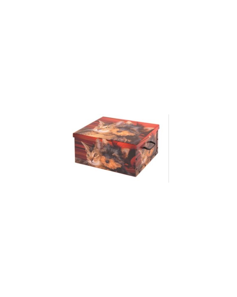 SCATOLA BAULETTO 50x40x25cm SHABBY 7794