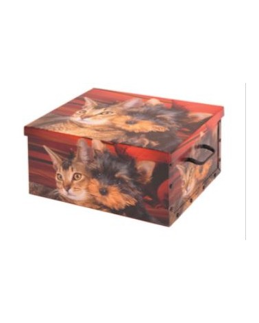 SCATOLA BAULETTO 50x40x25cm SHABBY 7794