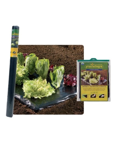 FILM PACCIAM H1.2x50MT NER