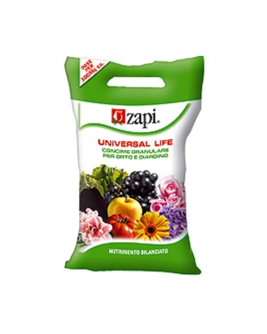 ZAPI UNIV/LIFE ORT/GIAR 4K