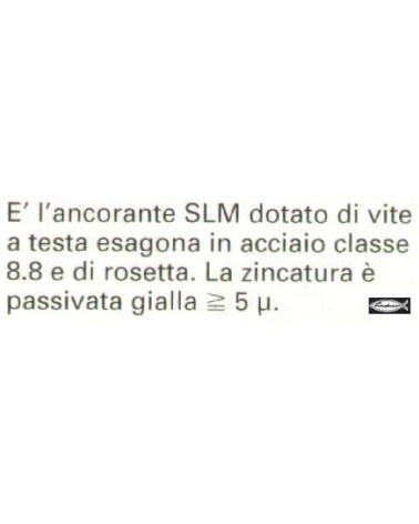 TASS. SLM  6 C/VITE TE    