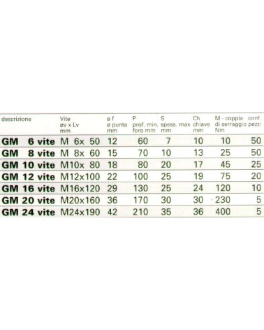 TASSELLO GM C/VITE 6 TE   