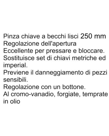 PINZA CHIAVE B/LISC MM 250