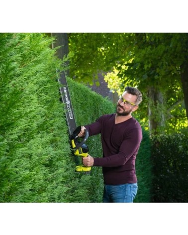 TAGLIASIEPI 18V 55CM-0 NUD