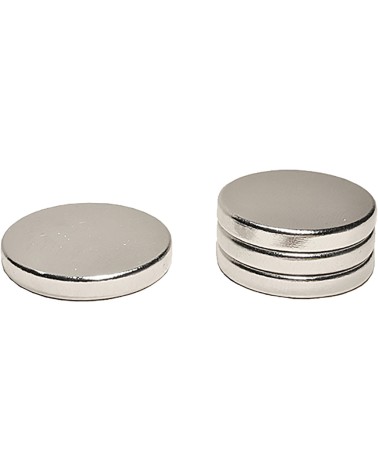 CALAMITA TONDA MAURER IN NEODIMIO MM20X3